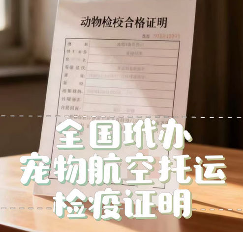 全国玳办宠物托运航空随机、单飞、宠物进客舱的动物检疫合格证明